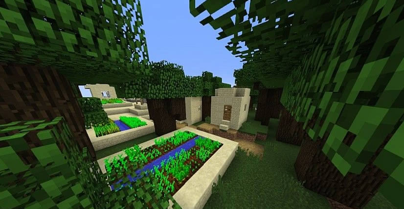 Interesting Villages Seed Screenshot