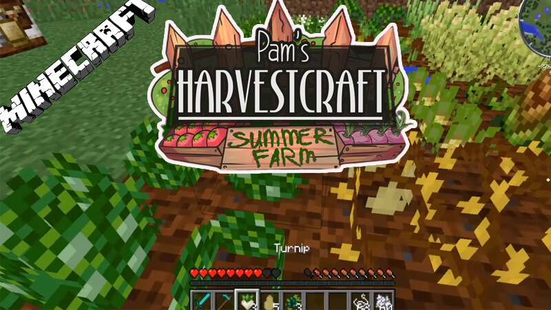 HarvestCraft