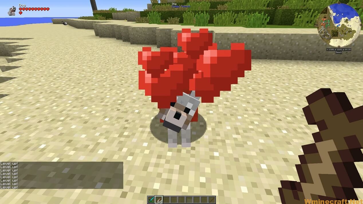 Doggy Talents Mod 1.16.5 and 1.15.2 Training your pet in Minecraft