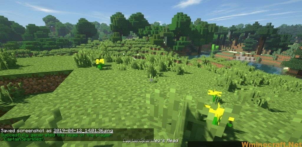 Download Just Player Head Mod For Minecraft 1 16 4 1 15 2