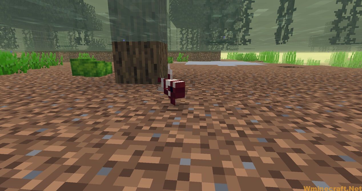 Download Bettas Mod 1.16.4 for Minecraft - Adds a new type of fish