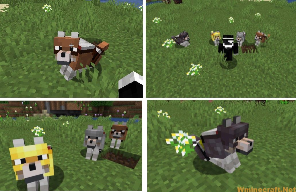 Wolves With Armor Mod 1.17-1.16.5->1.15.2 - Wminecraft.net